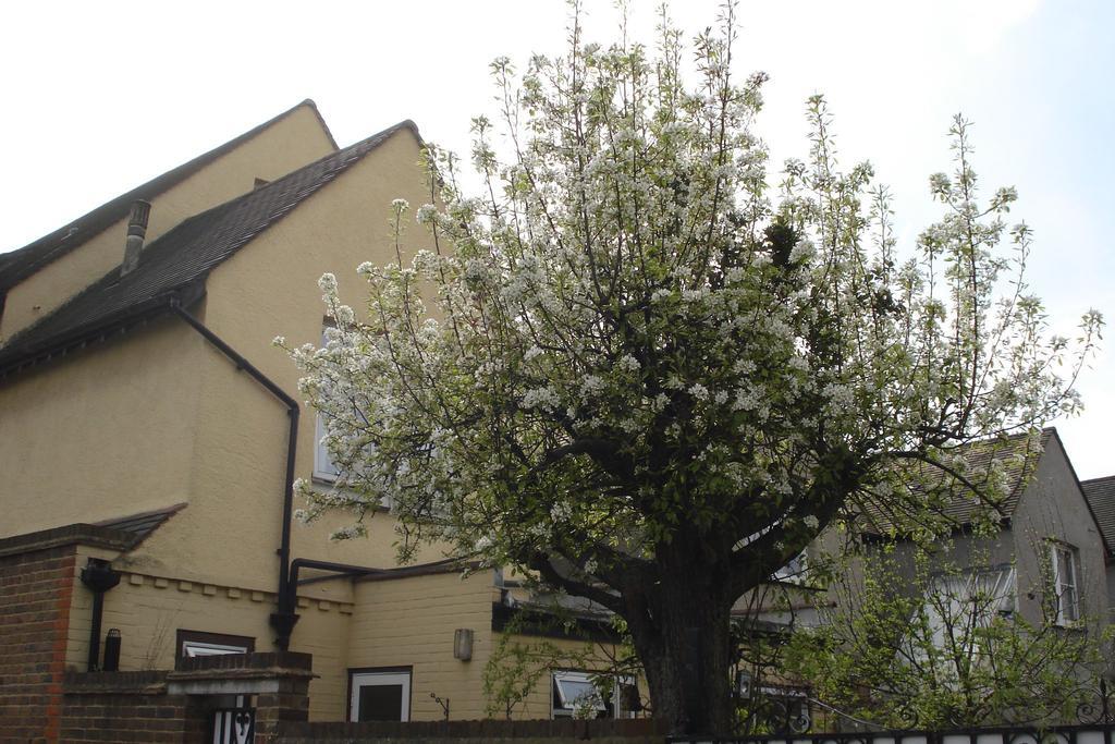 Compton Guest House London Exterior photo